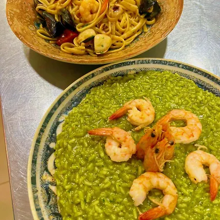 Dhima Χειμάρρα