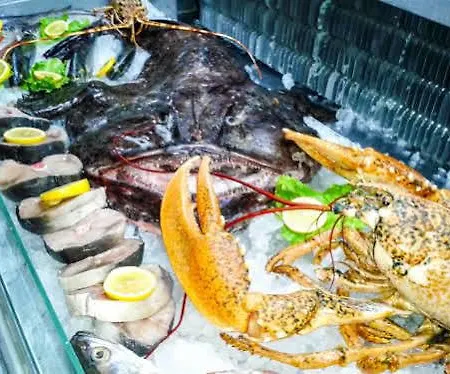 Dhima 3* Χειμάρρα