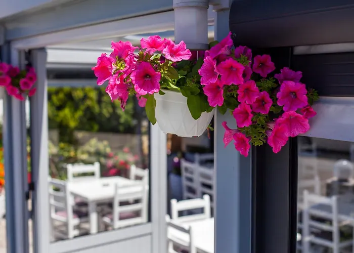 ディーマ ホテル