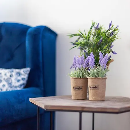 호텔 Dhima 히마레